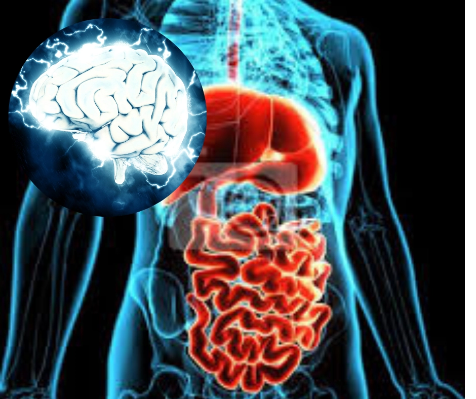 Connaissez-vous votre deuxième cerveau